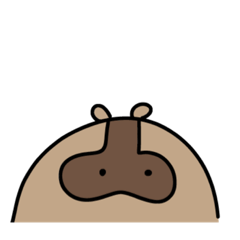 あらいぐまくんの「あらう？」2