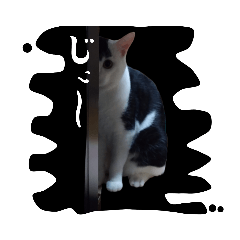 ふじBitai猫ばんchan