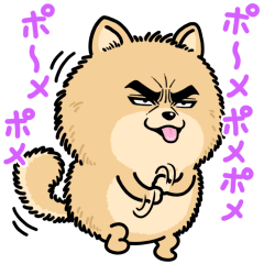 目ヂカラ☆わんこ9【わんこがいっぱい】