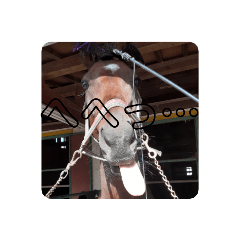 HL安曇野スタンプ！つかいやすさいまいち