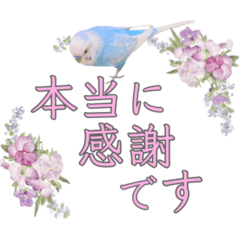 お花と小鳥♡日常会話.丁寧.敬語.気遣い