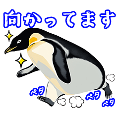 日常使いのロイヤルペンギンのスタンプ