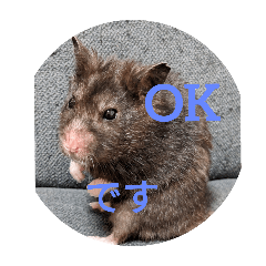 テトとこうしのスタンプ