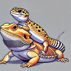 フトアゴとヒョウモン