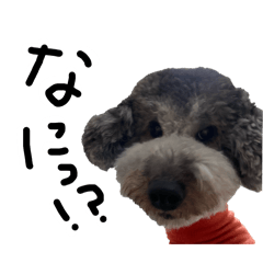 超ろくちゃんスタンプ