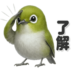 毎日使える！かわいいメジロ