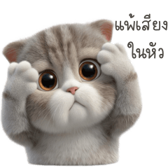 Tofu, a popular word talk boyfriend 2_21