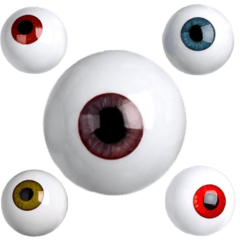眼球　色んなタイプ