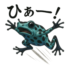 Colorful Poison Dart Frog