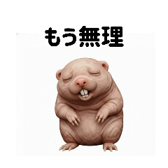 (生)ハダカデバネズミ【疲労編】