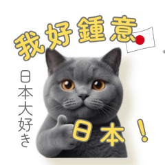 Japan Lover Cat | Japanese & Cantonese