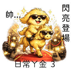 Golden Retriever Daily Life 03