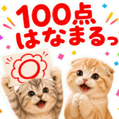飛び出す♡大切な人へ送る思いやりにゃんこ