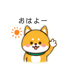 しばさん（１）