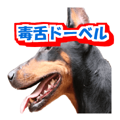 毒舌ドーベルマンのレイリー