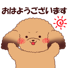 【大人向け】トイプードル敬語スタンプ