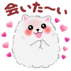 ポメラニアンぽちゃんの気持ち