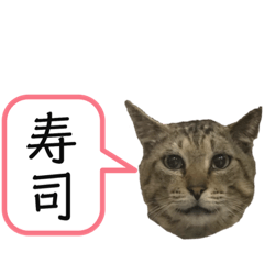 今日のご飯何食べたい？