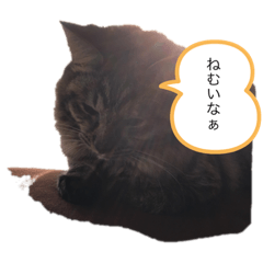 みかんの日常生活