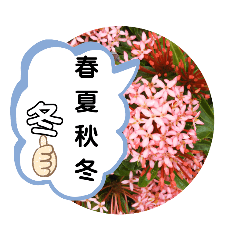 春夏秋冬（冬）