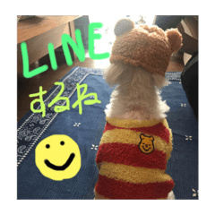 らぶあーちゃん