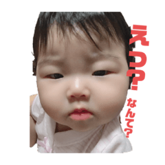 ひなたん今日も行く