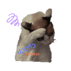 npcdragon_20190918140148