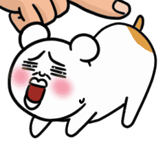 ハムスターはあなたが大好き！