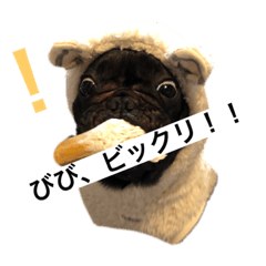 クロエのココロ