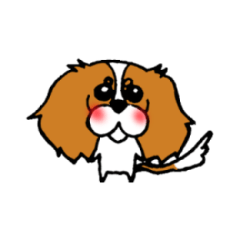 いとしのキャバリア