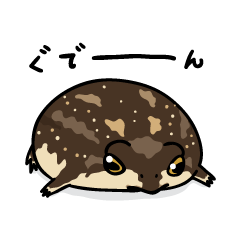 アメフクラガエルさん