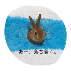 自由なヨシヒコさん