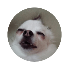 あずまめ軍団スタンプ1