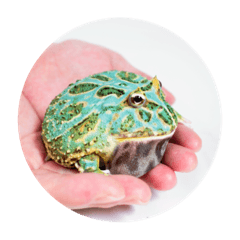 大水さんスタンプ