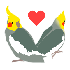 ほんわかオカメインコ