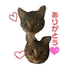 中原家の愉快な仲間たちvol.1