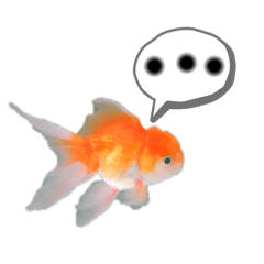 Sandy_20200423183113