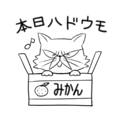 使えるブサにゃん２匹目