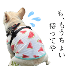 フレブルのぜん君(関西弁ver.)