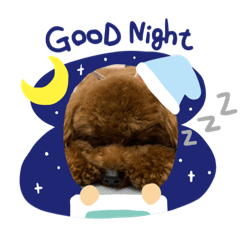 まろんくそぼーず