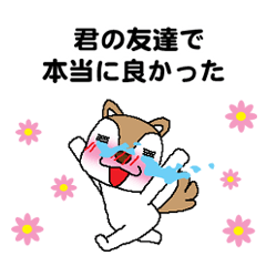 ほめわんこ