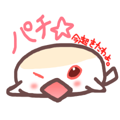 パンケーキ文鳥