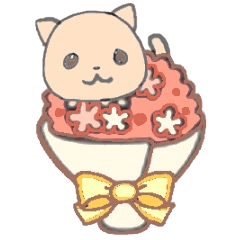 オレンジ色の猫ちゃん