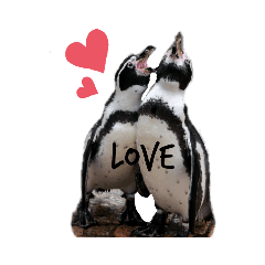 あにまるスタンプ 1