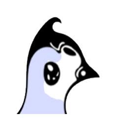 バードくんの１日