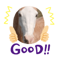 アイ＆パールただ今勉強中