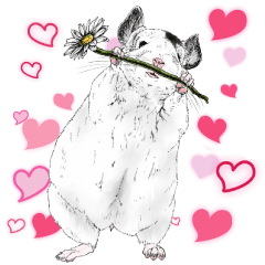 チンチラのキモチ