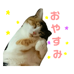 みけねこねこスタンプ