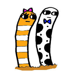 チンアナくんとニシアナちゃん