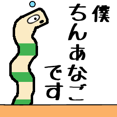 かわいい海の生物 「チンアナゴ」の日常